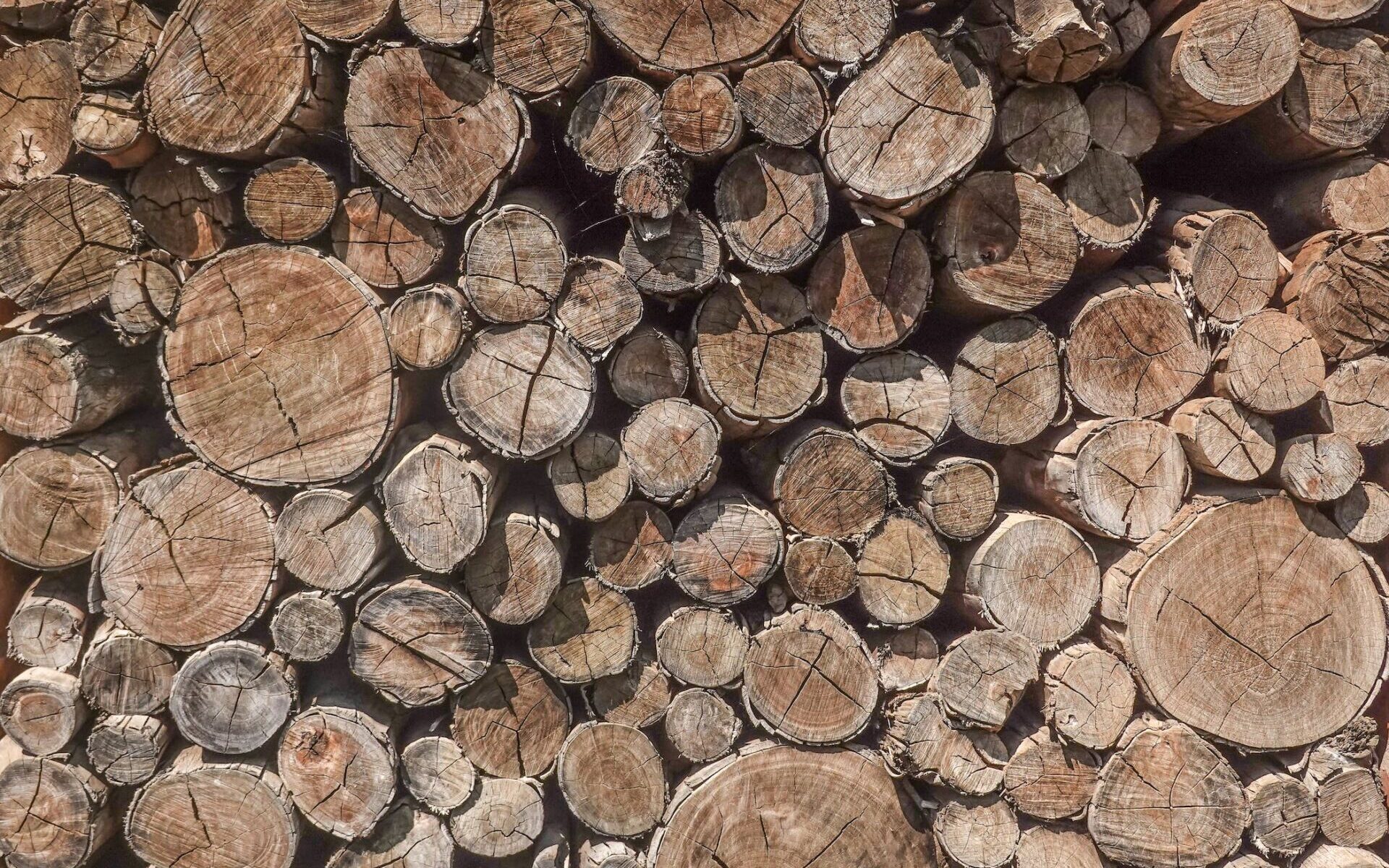 Lubin: Mężczyzna wyciął z lasu ponad 100 drzew. Straty wyceniono na 70 tysięcy złotych /fot. pexels
